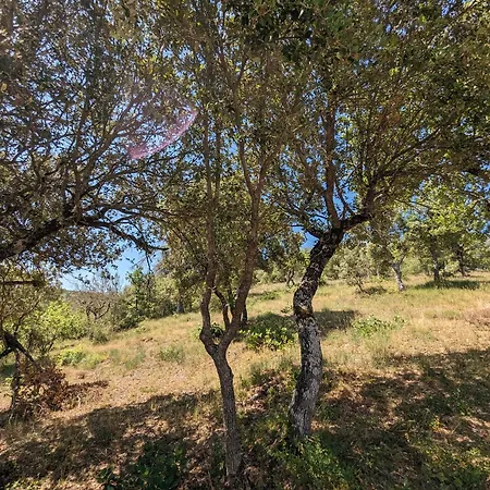 Maison Paisible Au Bord Du D'esparron 度假居